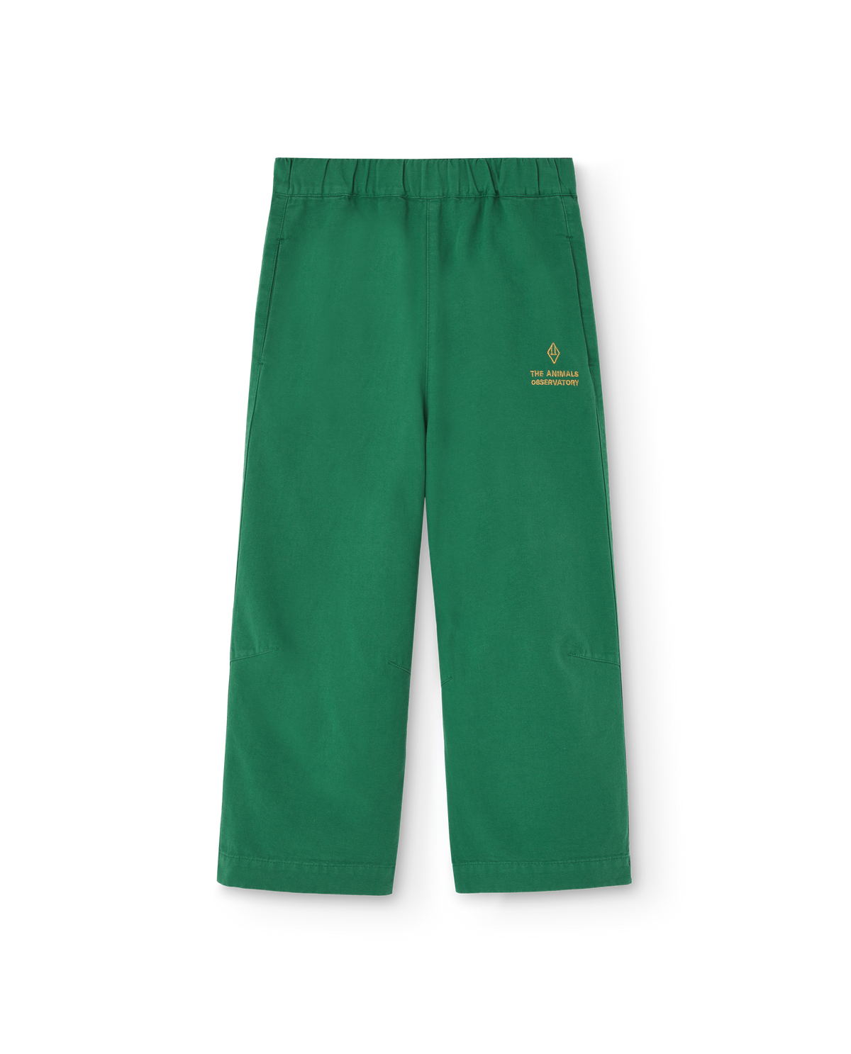 Pants Elephant - The Animals Observatory